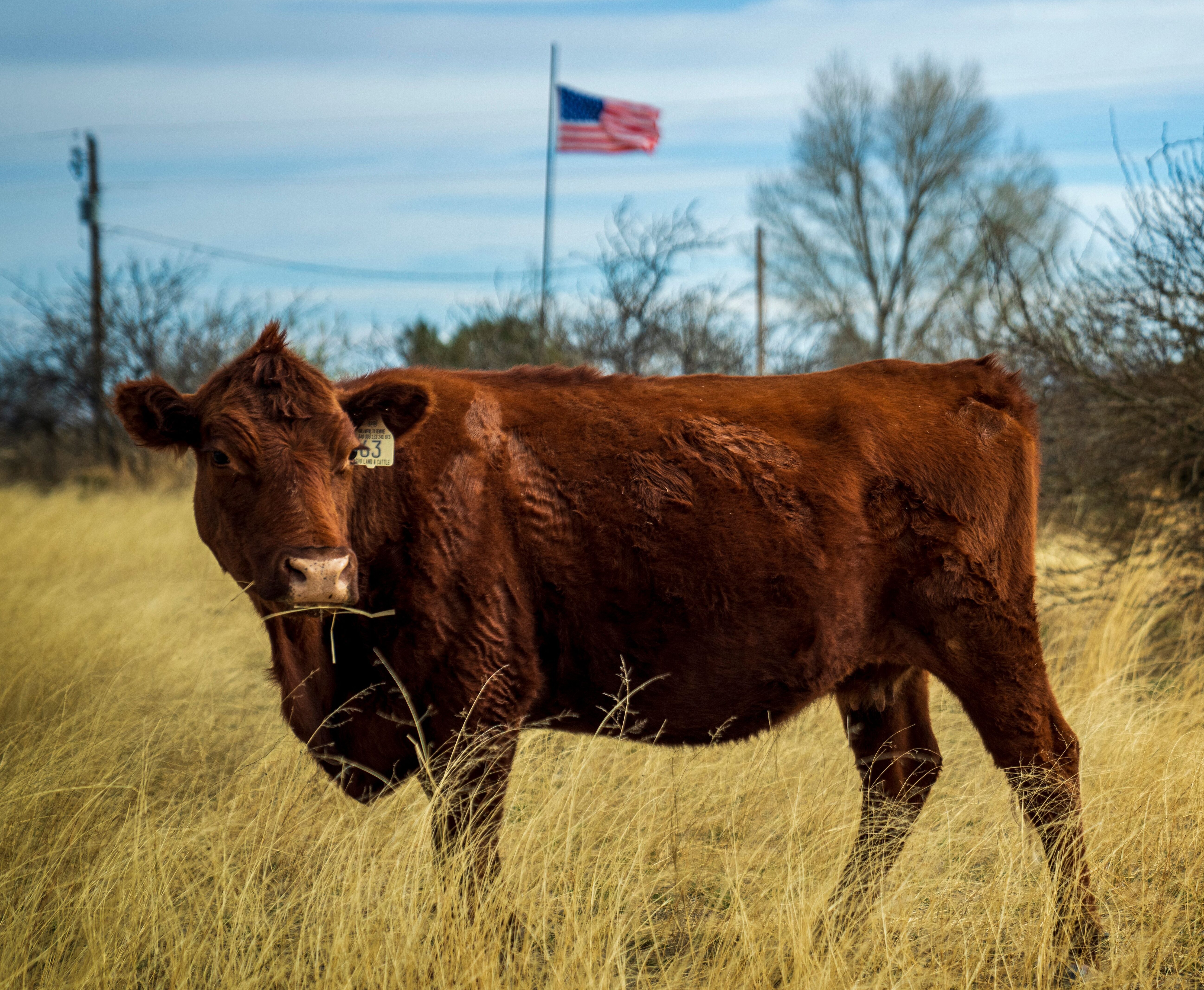 Photo © Pexels / Mark Stebnicki